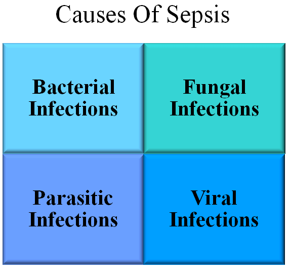 Causes Of Sepsis
