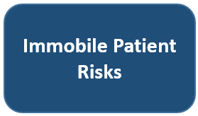 An Immobile Patient is Most Susceptible to the Following Risks