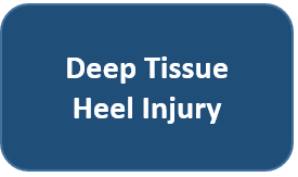 Deep Tissue Injury Heel